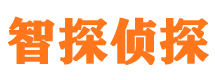 沐川市婚外情调查